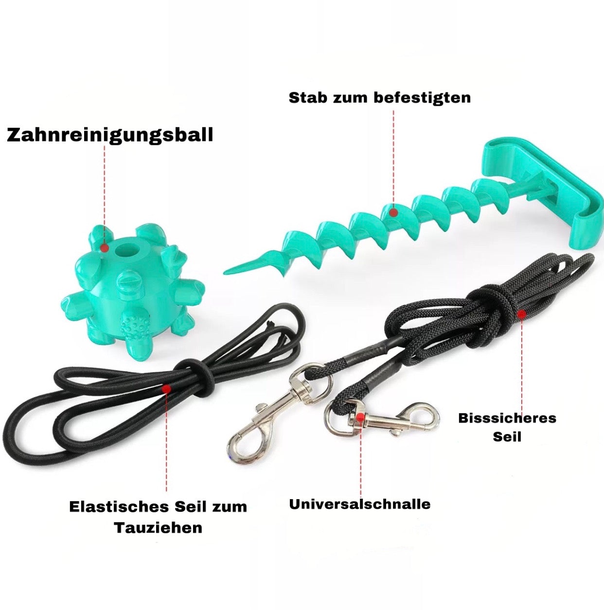 Hundespielzeug zum Tauziehen- Der beste Freund Deines Hundes (33% Rabatt) - Lidio
