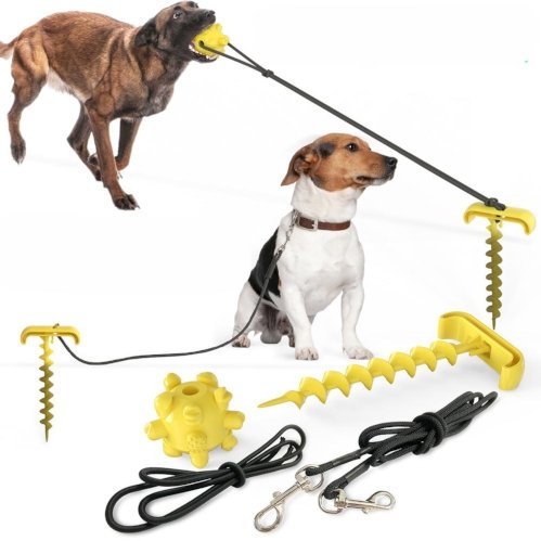 Hundespielzeug zum Tauziehen- Der beste Freund Deines Hundes (33% Rabatt) - Lidio