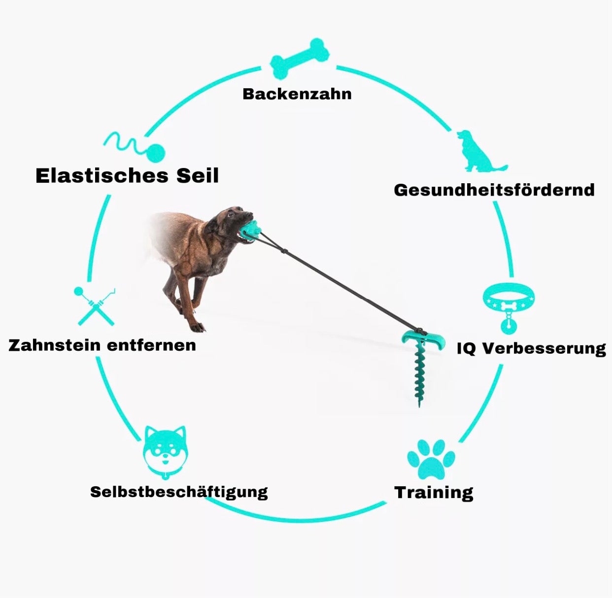 Hundespielzeug zum Tauziehen- Der beste Freund Deines Hundes (33% Rabatt) - Lidio